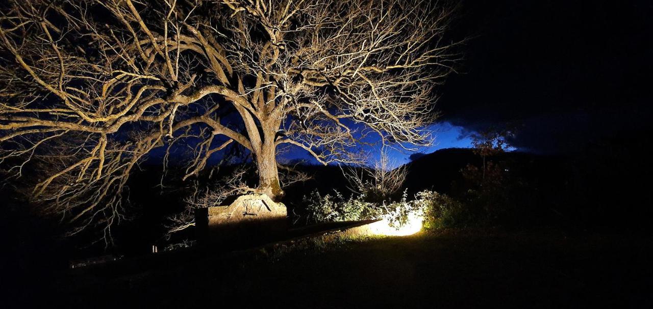 Sotto Il Cielo Hotel Pignola ภายนอก รูปภาพ
