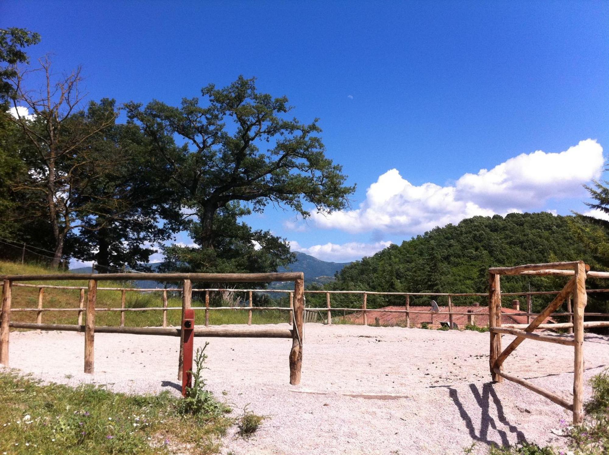 Sotto Il Cielo Hotel Pignola ภายนอก รูปภาพ